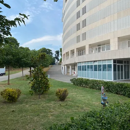 Noa זאדאר